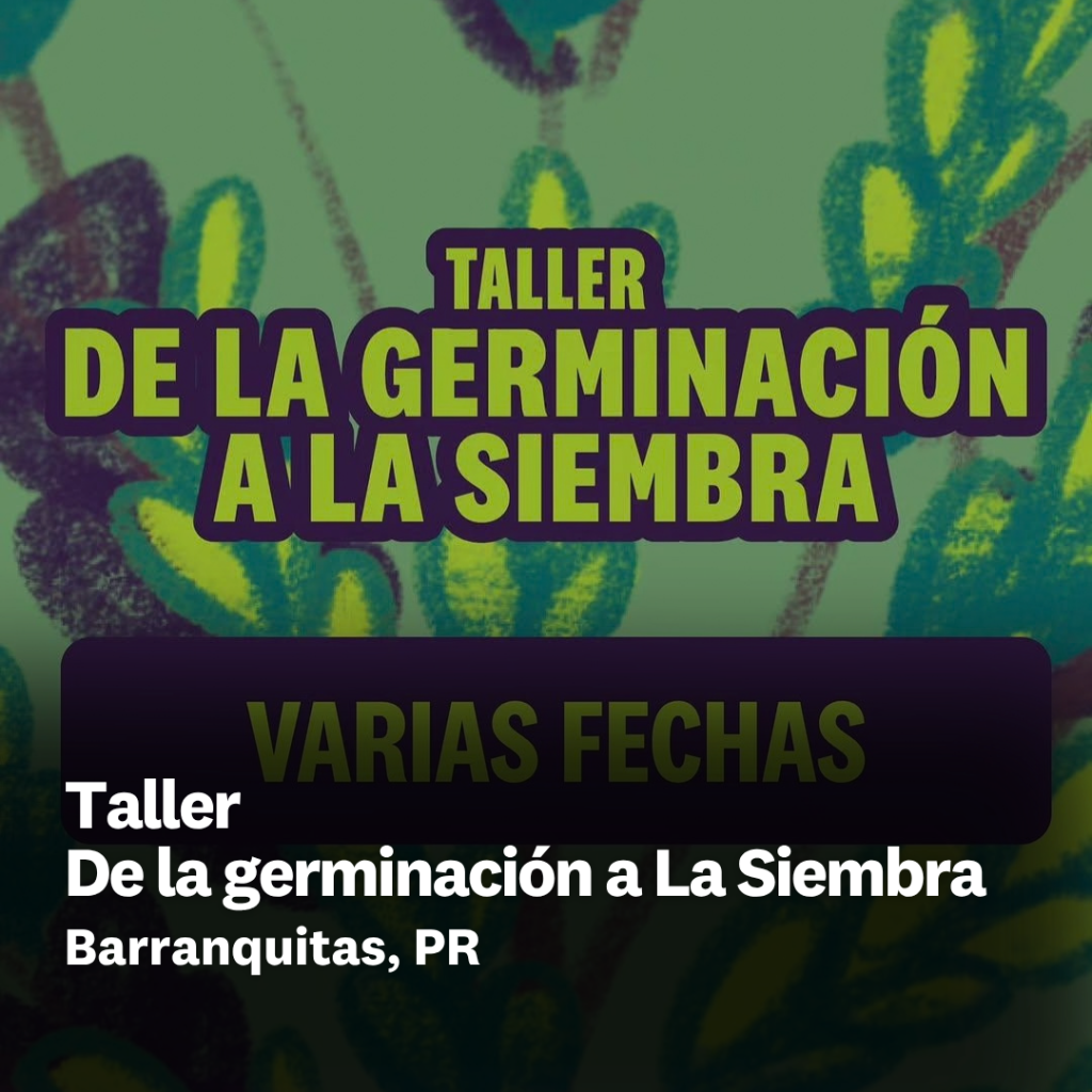 Taller Barranquitas