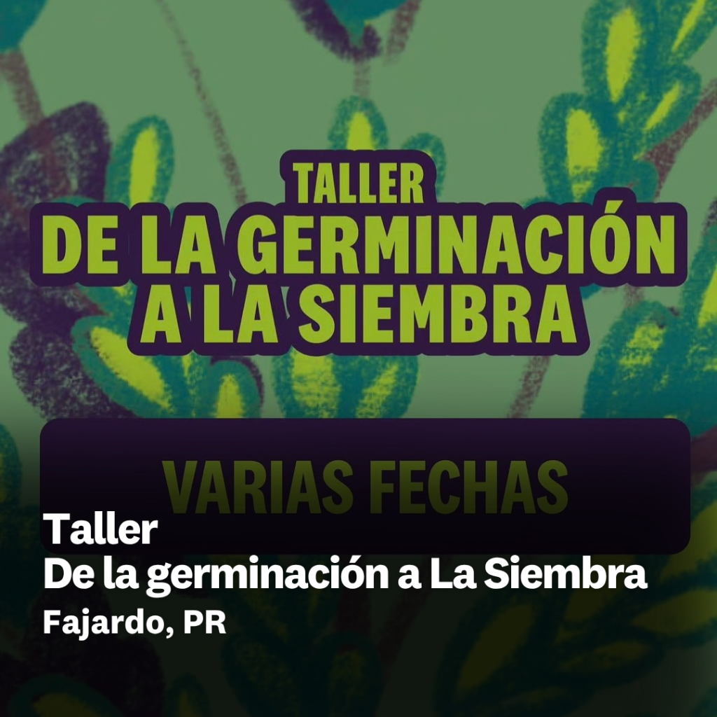 Taller Fajardo