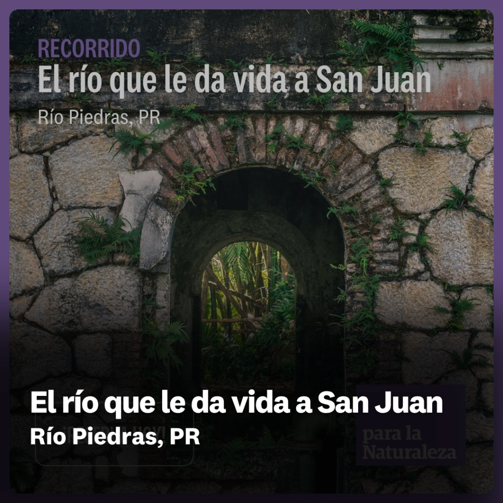 El r&iacute;o que le da vida a San Juan