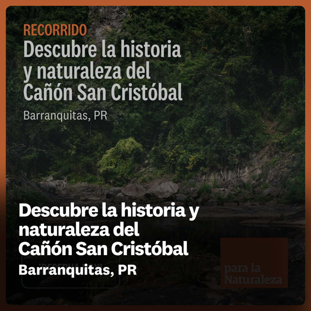 Descubre la historia y naturaleza del Ca&ntilde;&oacute;n San Crist&oacute;bal