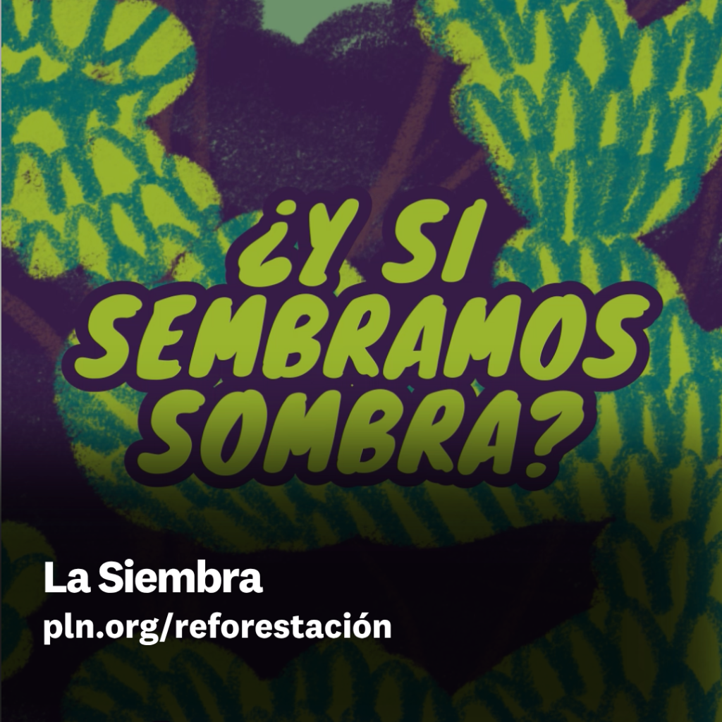La Siembra
