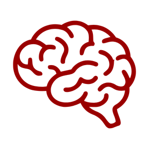 Cyrus Raji appointed neuroradiology division chief