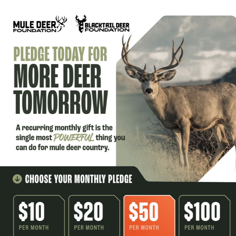 End of Year More Deer Tomorrow Campaign