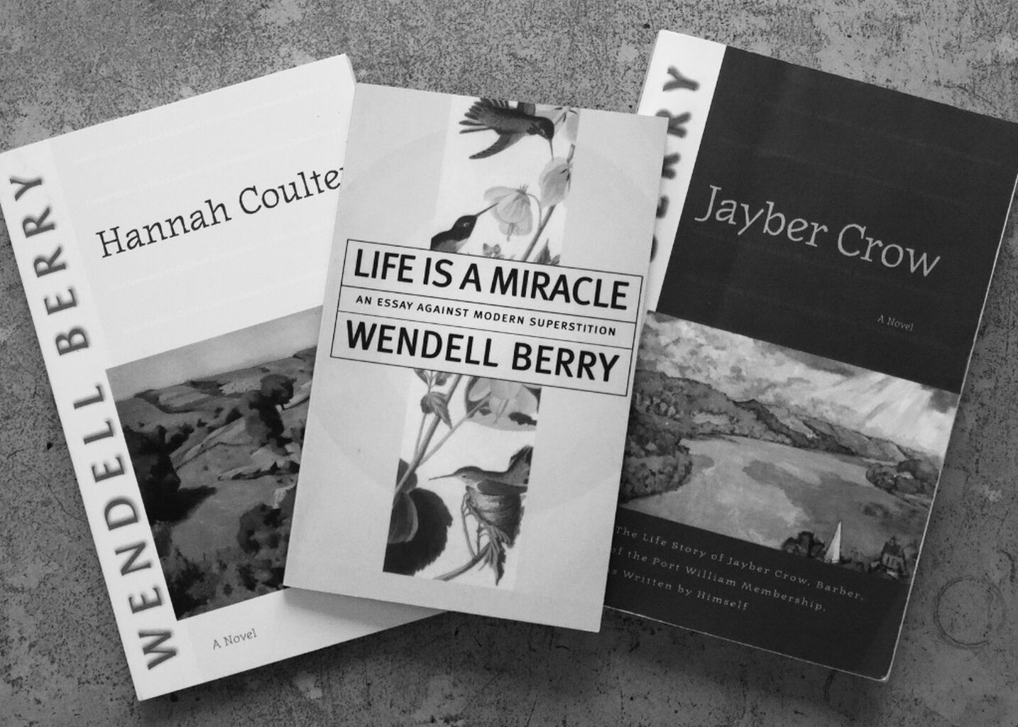 Please Don&rsquo;t Feed the Lion: On Lindsay Clancy, Wendell Berry, and the Normalization of Evil [Substack]