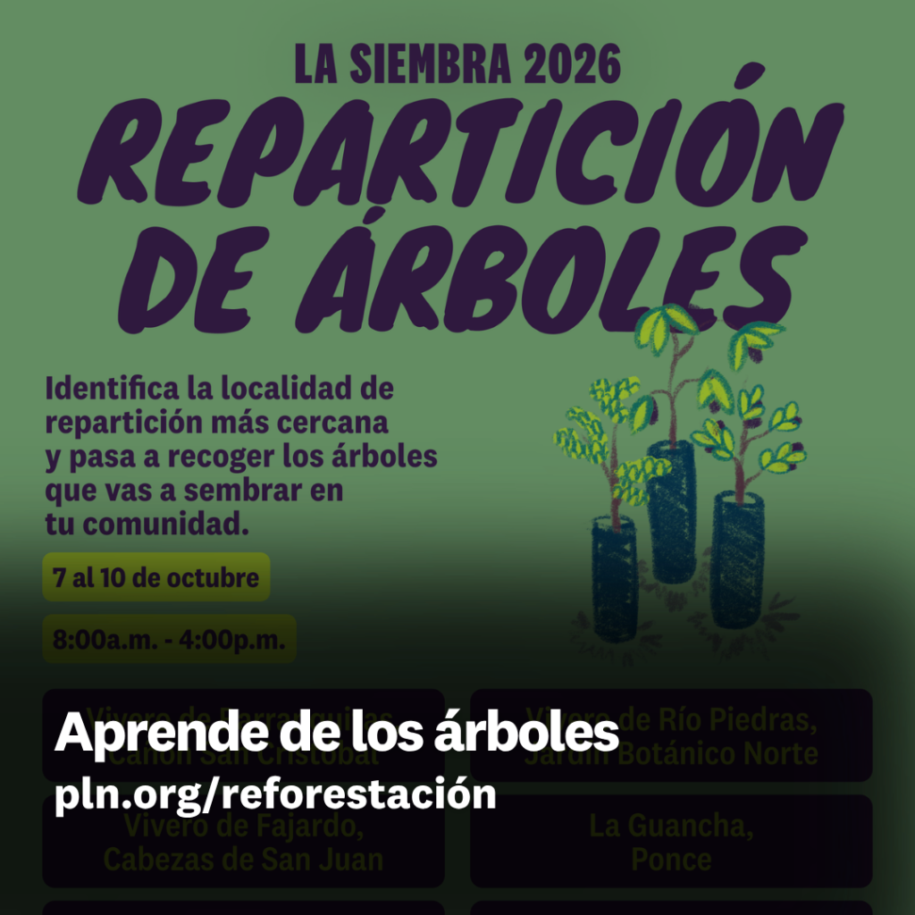 Aprende de los &aacute;rboles 