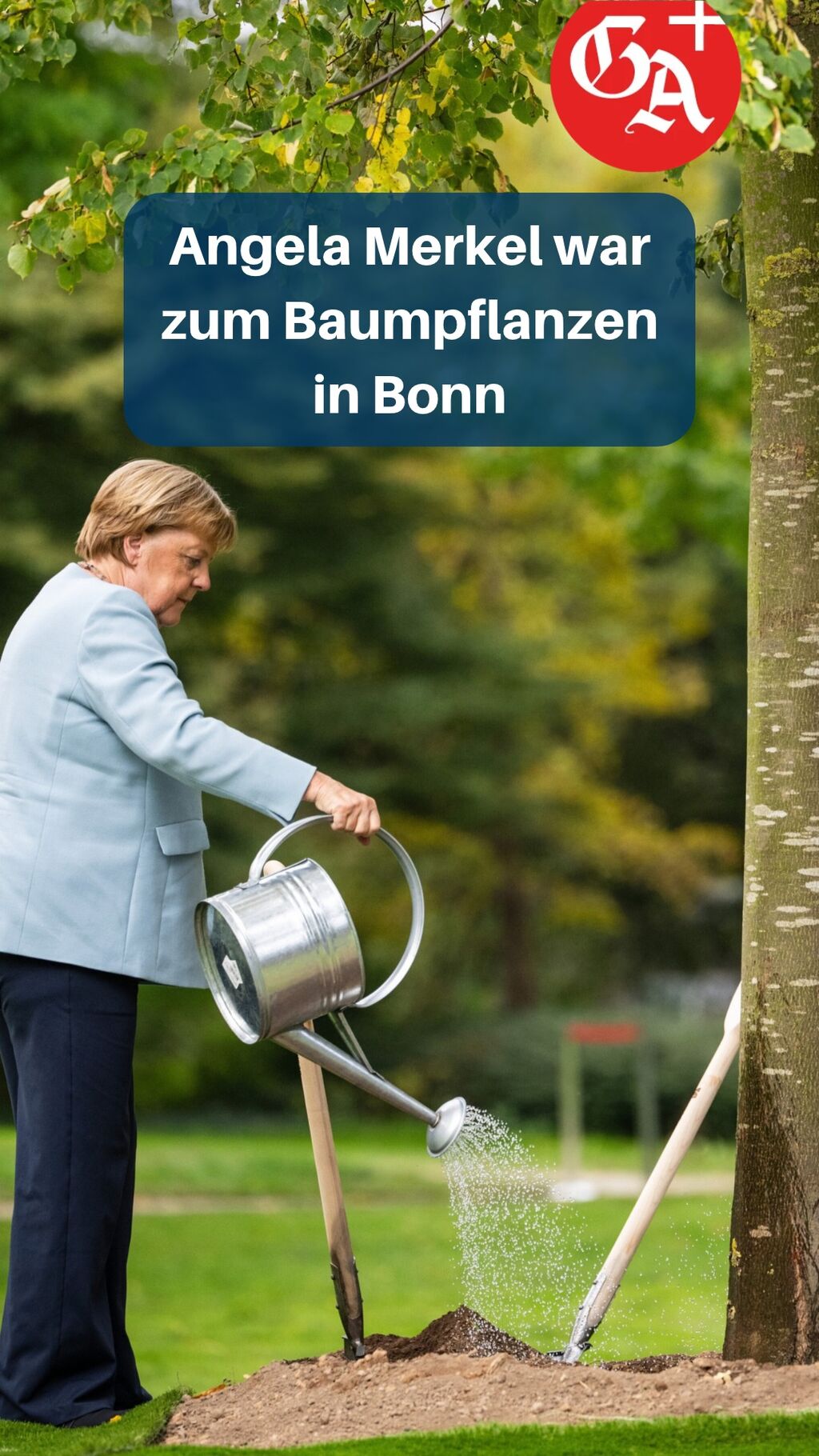 Angela Merkel in Bonn