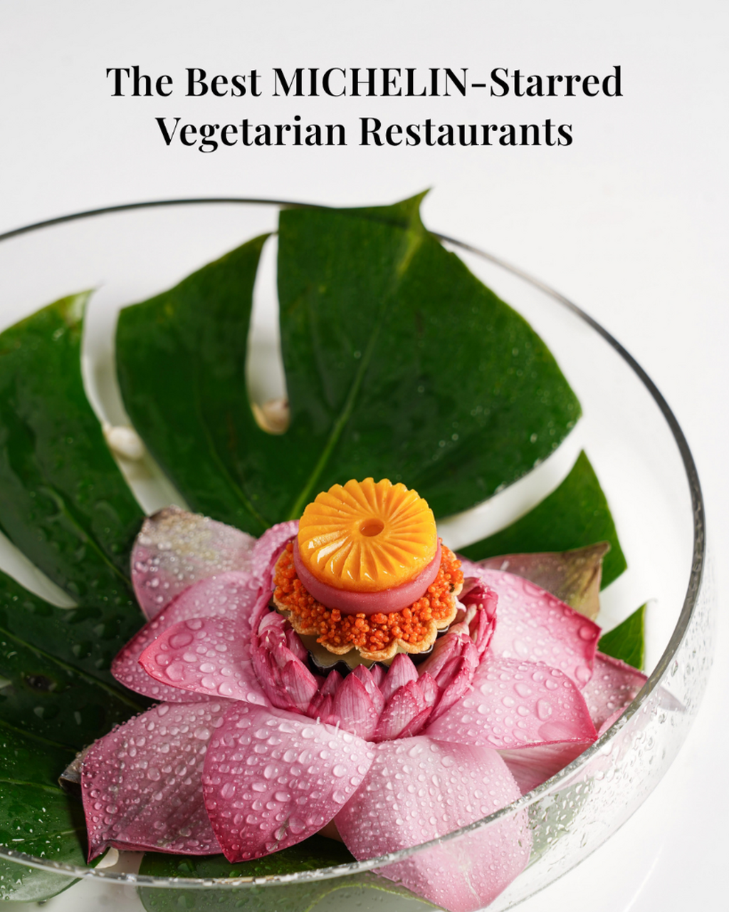 The Best MICHELIN-Starred Vegetarian Restaurants Worldwide
