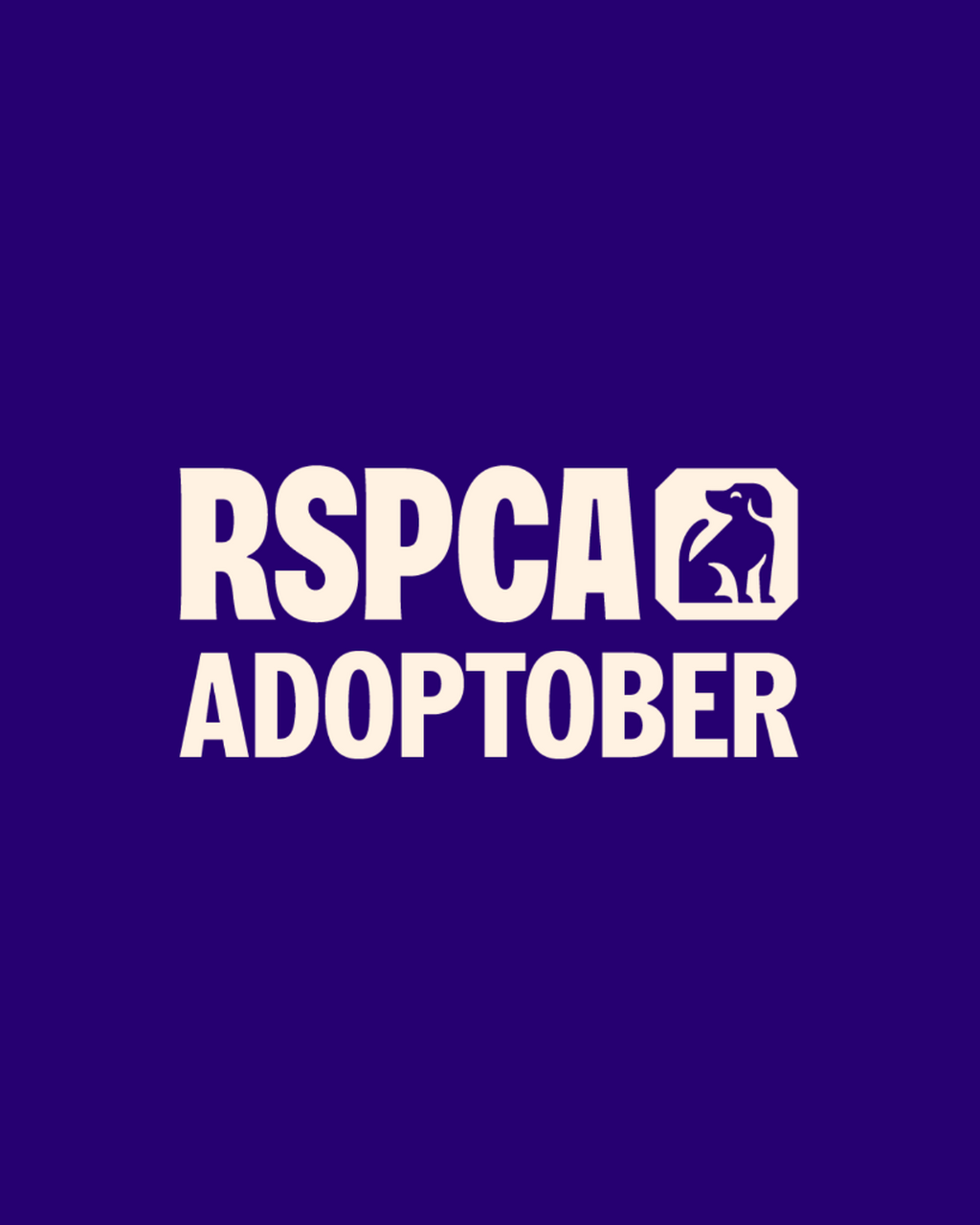 Adoptober🔍
