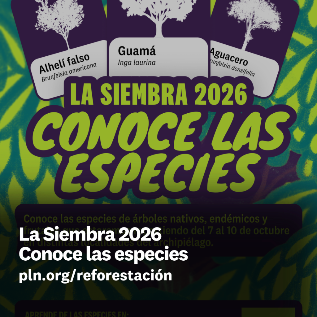 La Siembra 2026 Conoce las especies