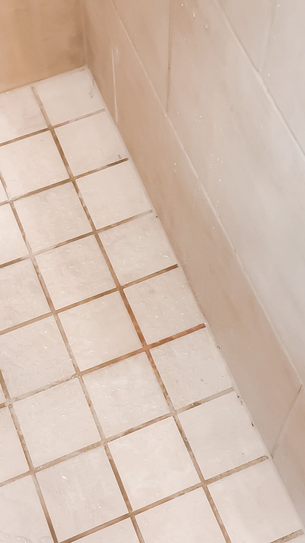 MOLD & MILDEW REMOVER