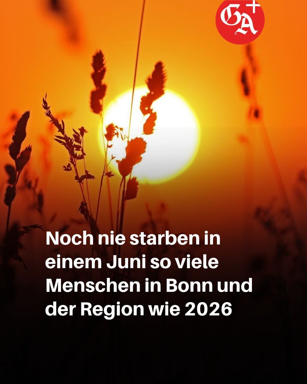 Historischer H&ouml;chststand bei Toden im Zusammenhang mit Hitze
