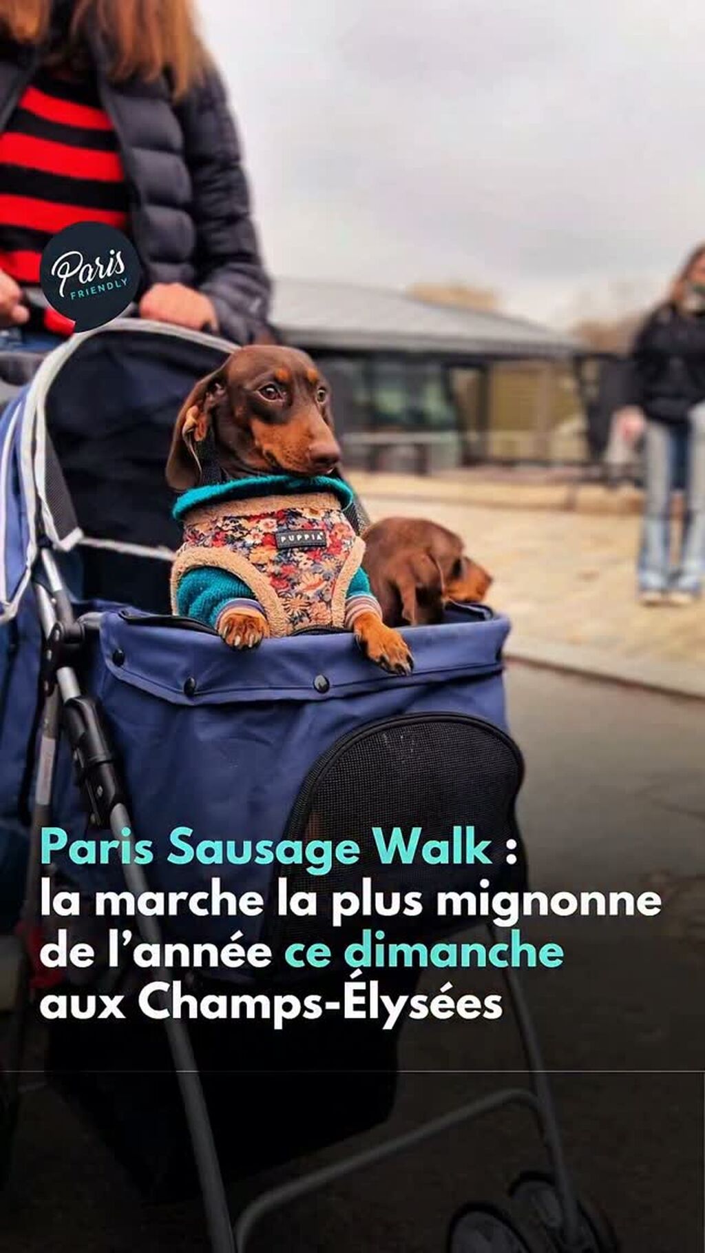 Paris Sausage Walk