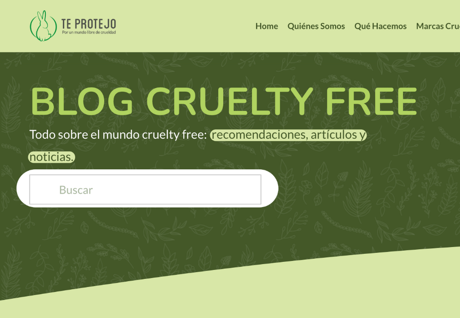 Blog Cruelty Free🐰💚