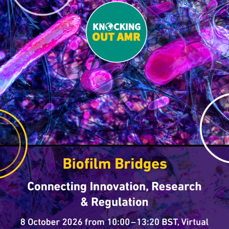 Biofilm Bridges