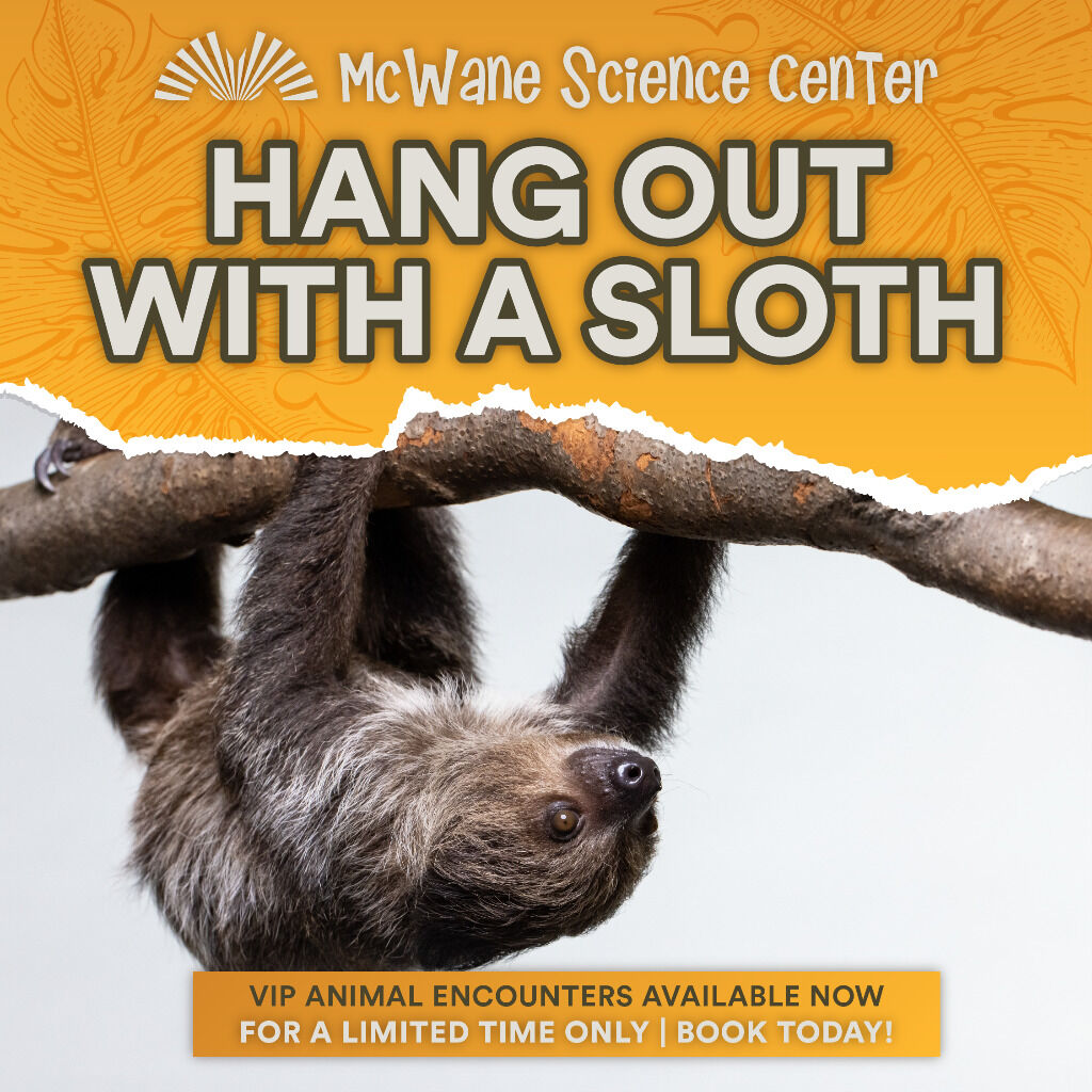 VIP Animal Encounters