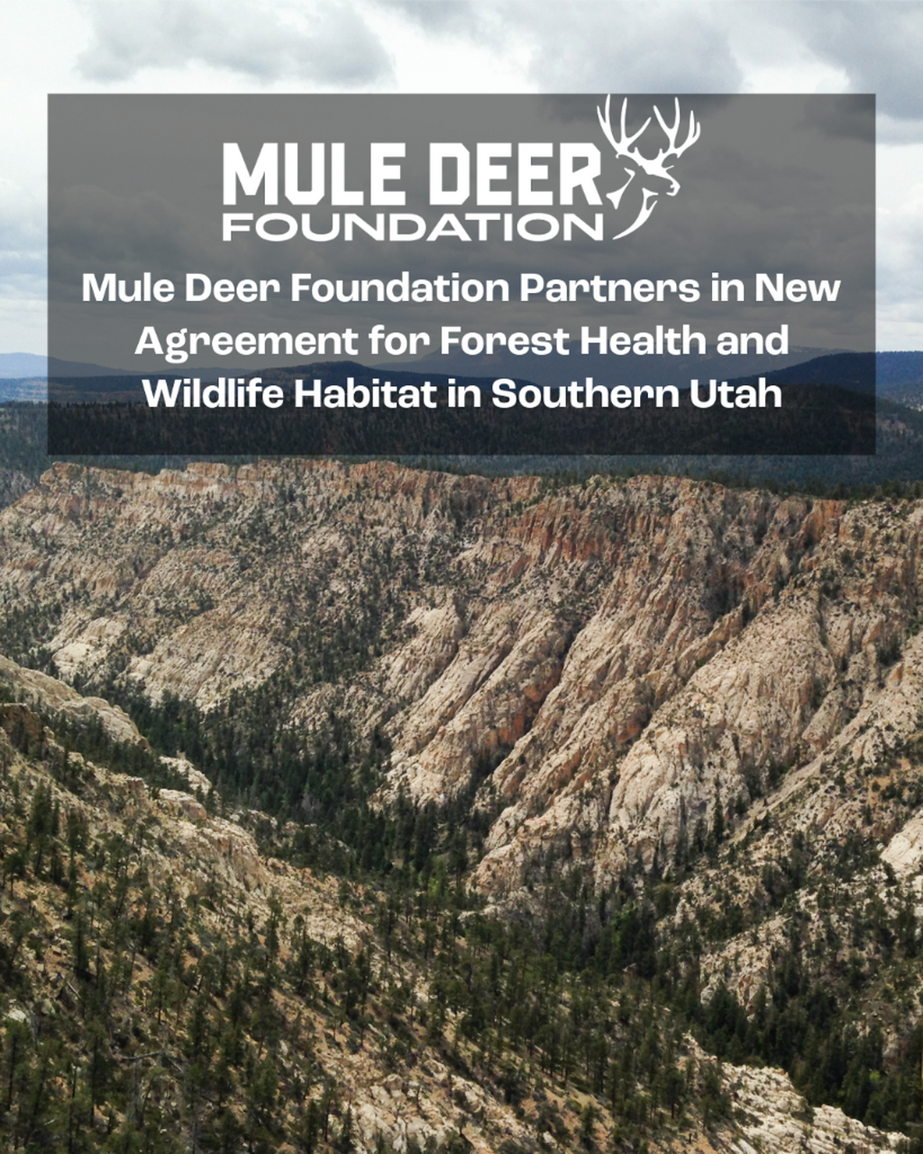 Page not found - Mule Deer Foundation