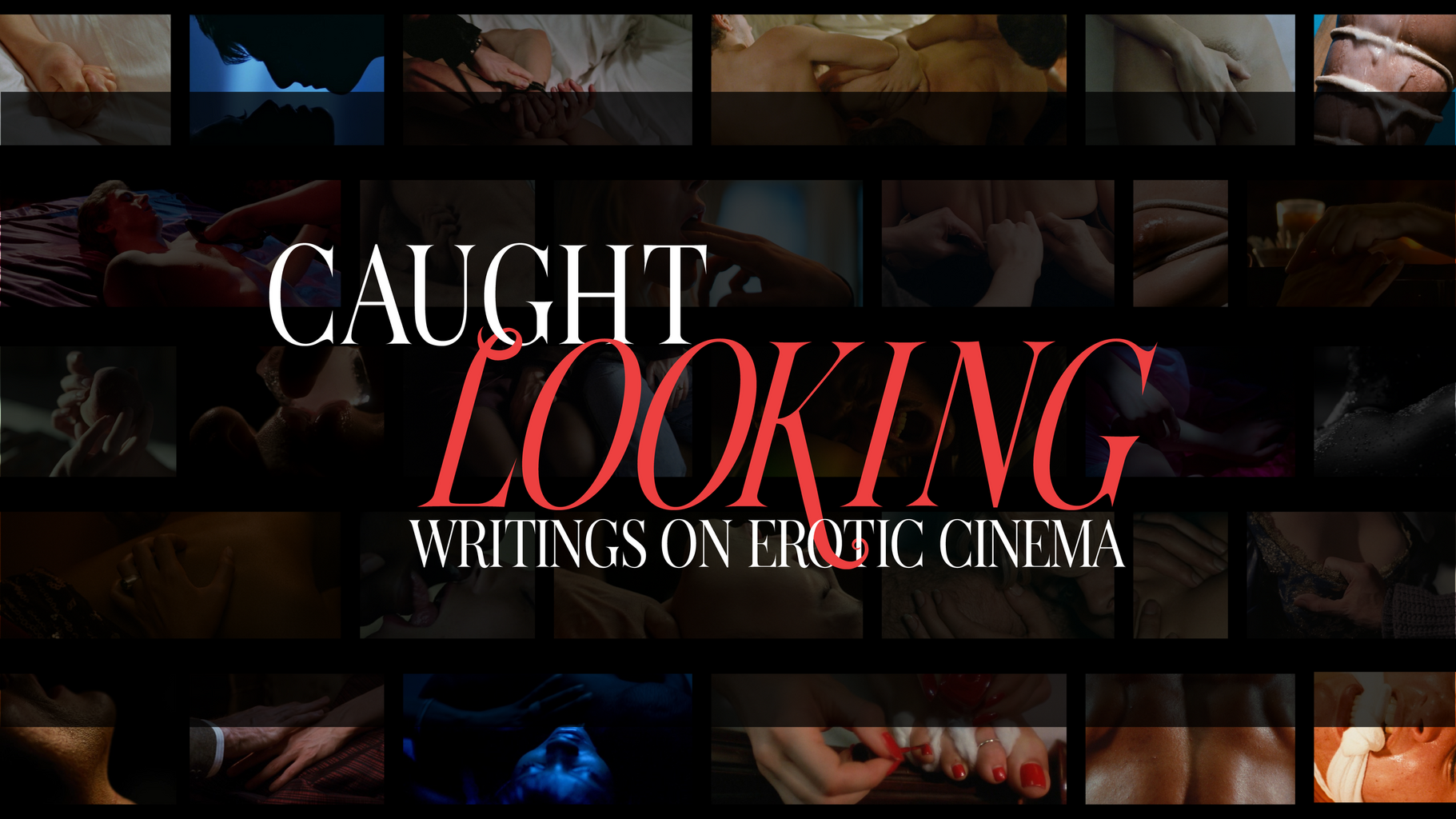 Caught Looking: Writings on Erotic Cinema