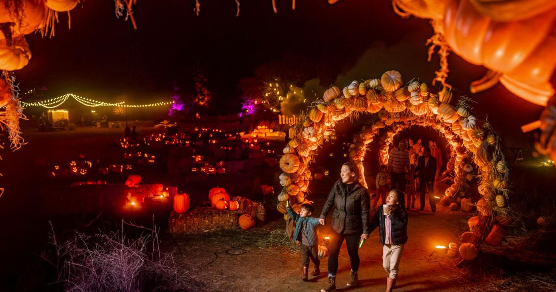 Harvest Happenings, Spooky Delights and One Soaring Fleet Week