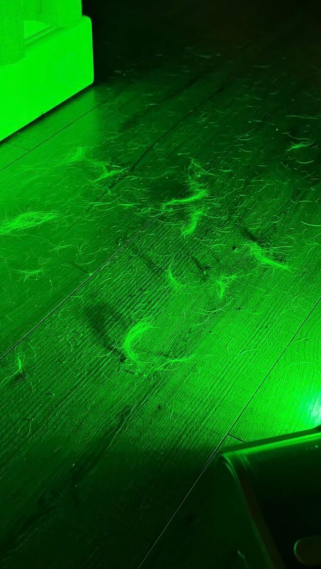 LEVOIT VORTEX