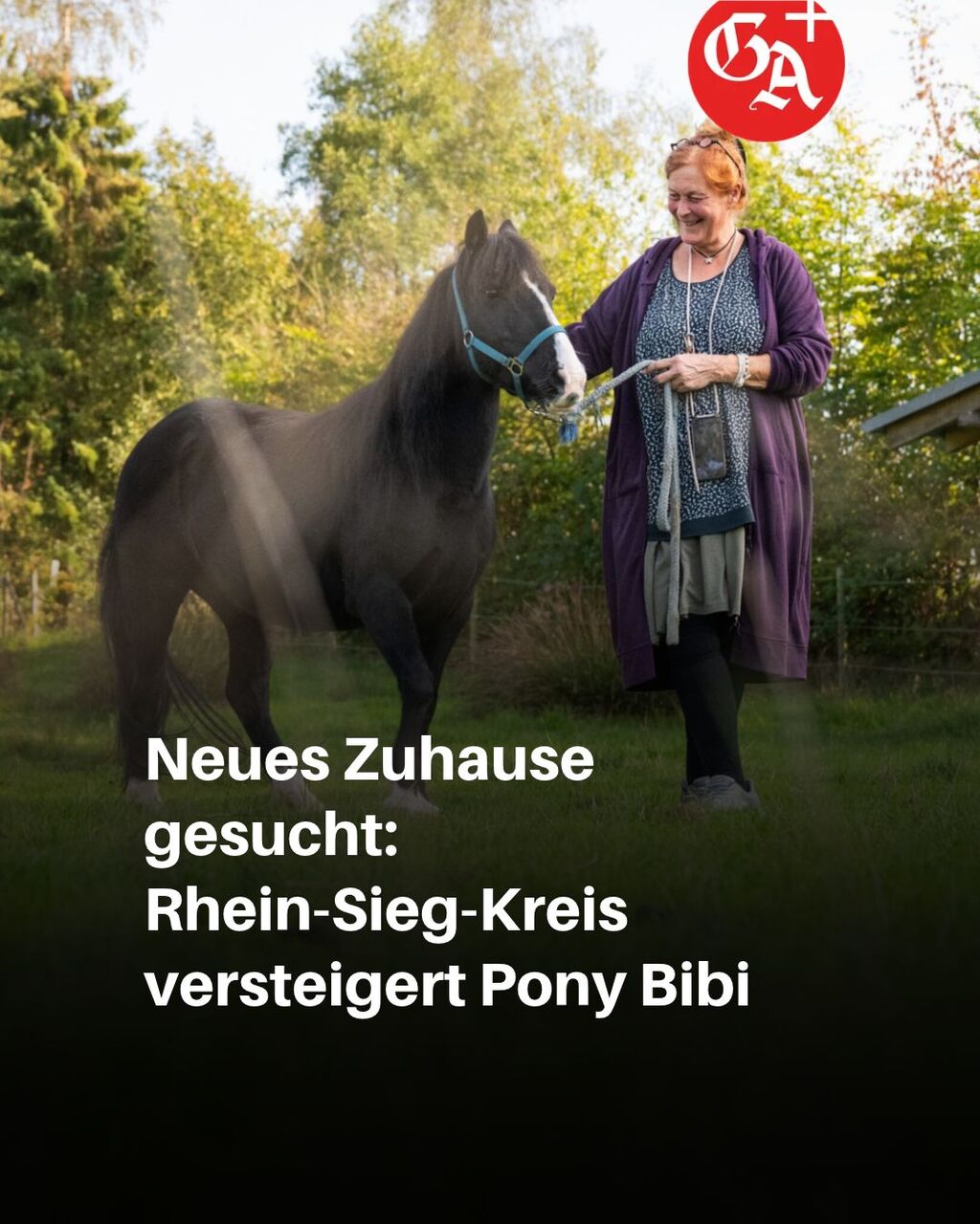 Pony Bibi