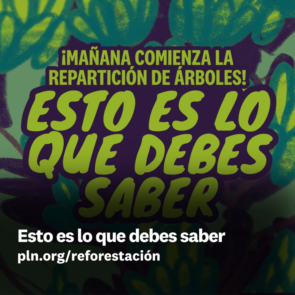 Esto es lo que debes saber