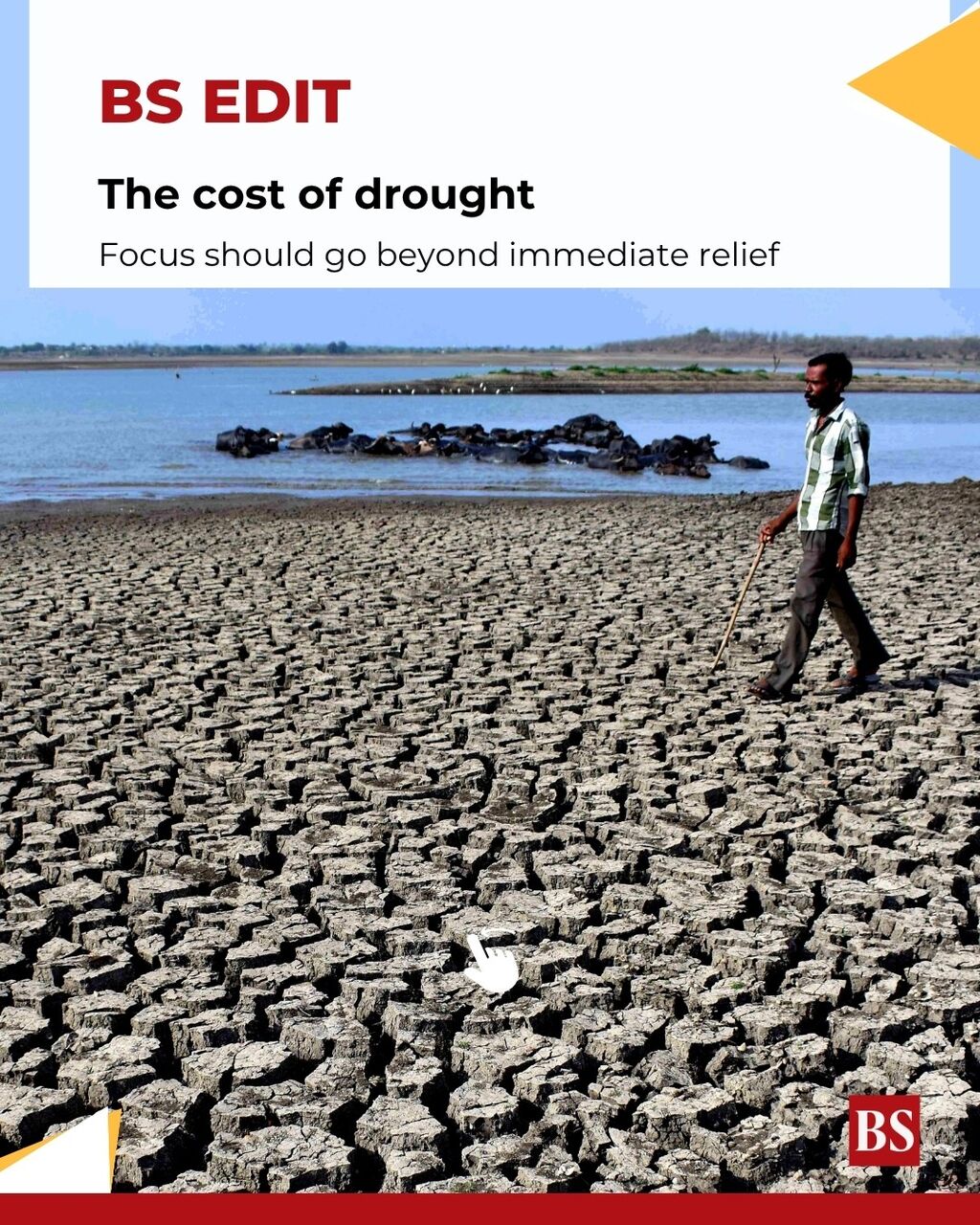 The cost of drought