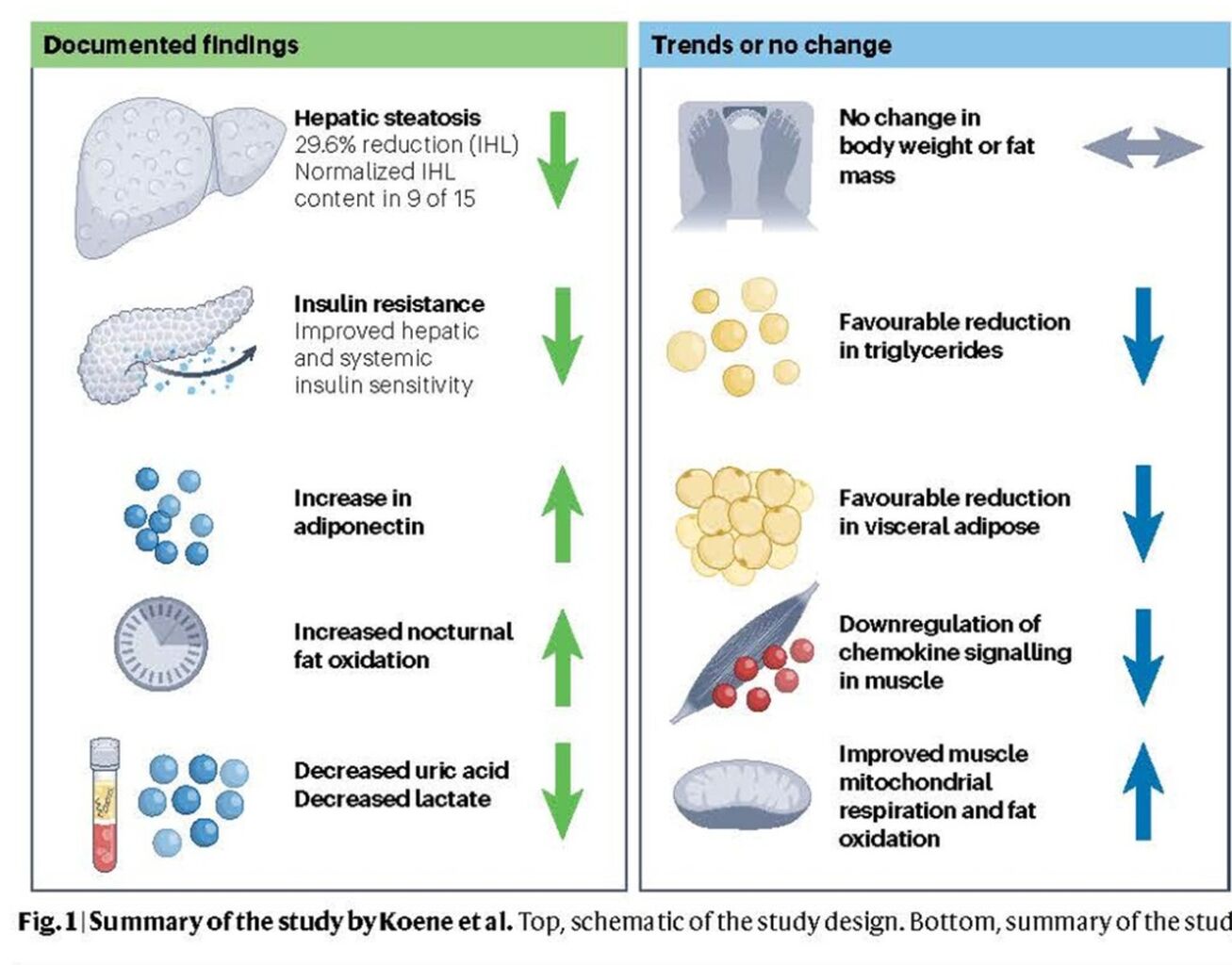 Fructokinase Inhibitors in Humans: Exciting Study