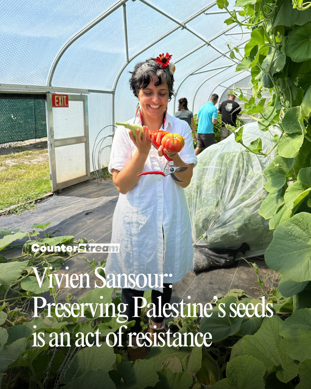 Seeds of Resistance with Vivien Sansour