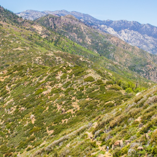 SBNF Roadless Areas iNaturalist project