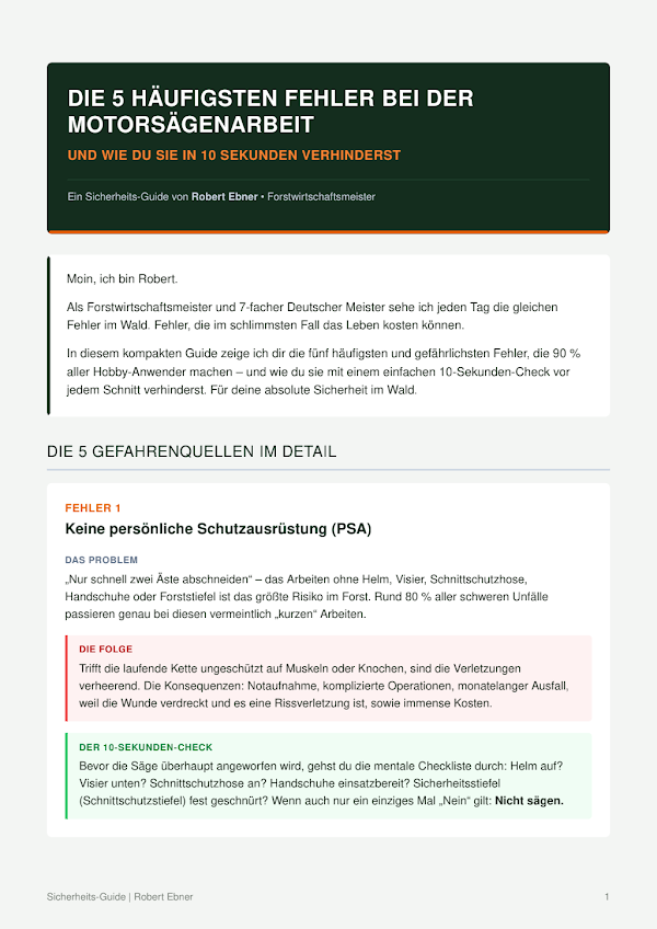 Gratis-PDF: Die 5 h&auml;ufigsten Fehler mit der Motors&auml;ge