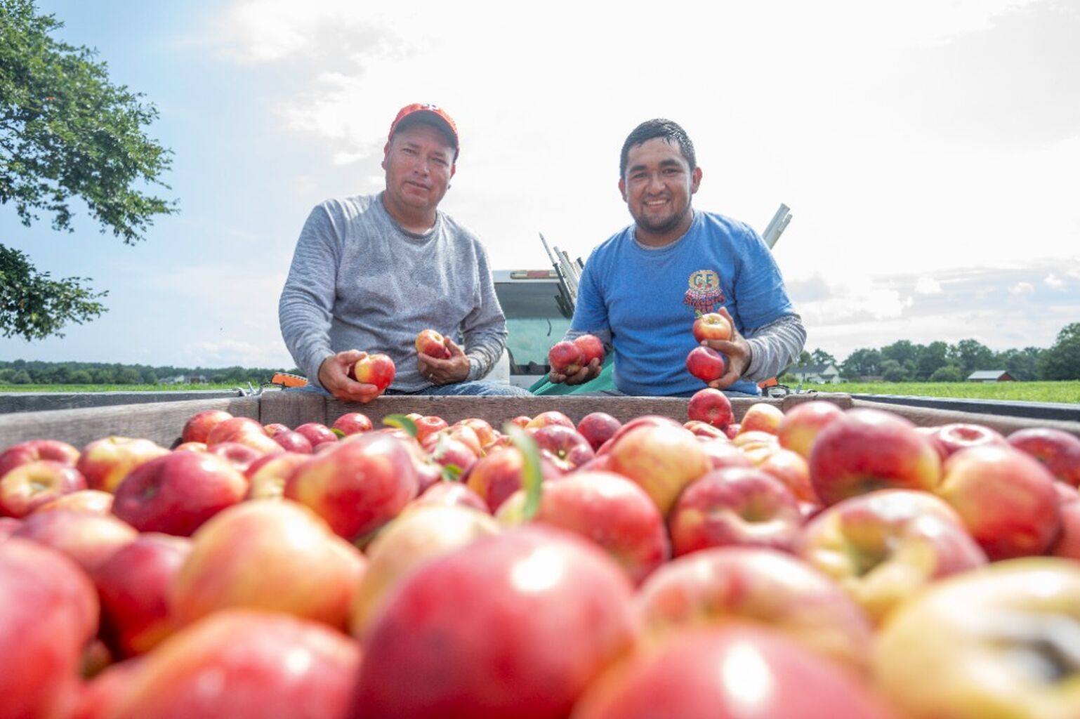 Find good food from family farmers