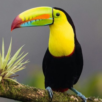 Costa Rica Travel Guide