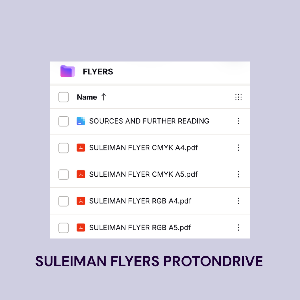 Suleiman Flyers - ProtonDrive