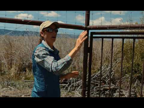 Mule Deer Foundation Supports a Wildlife Crossing near Salmon, Idaho.