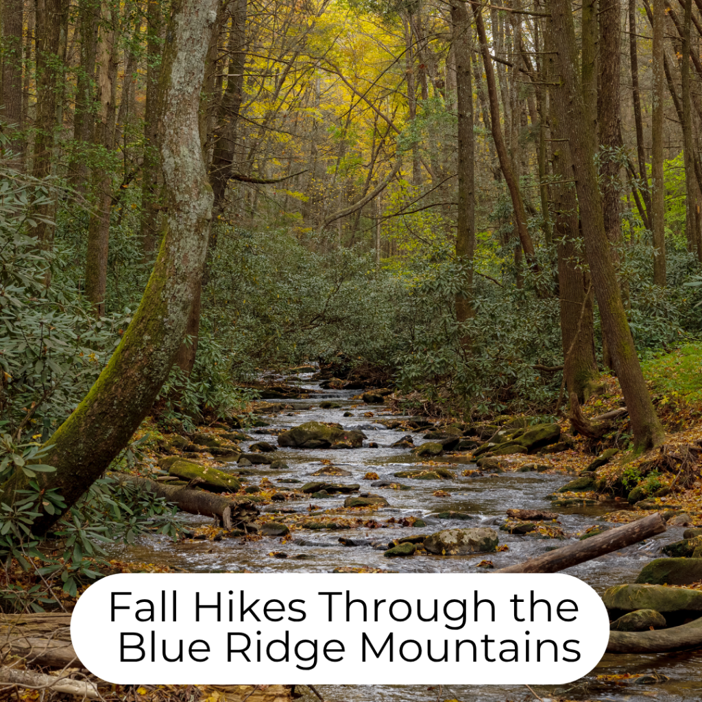 Fall Hikes Through the Blue Ridge Mountains