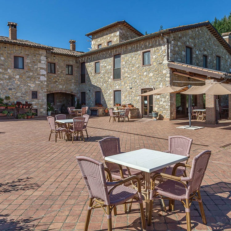Propriet&agrave; rustica in vendita in san venanzo s.n.c