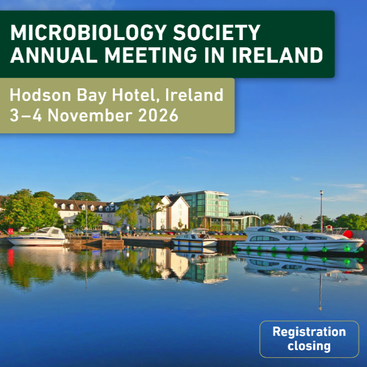 Annual Meeting in Ireland 2026
