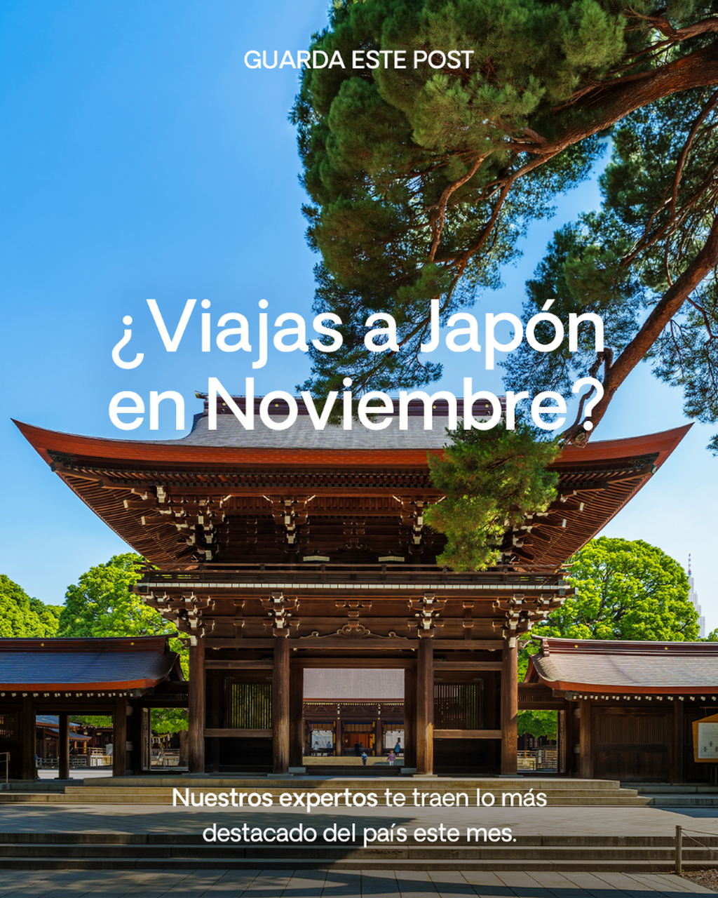 Jap&oacute;n