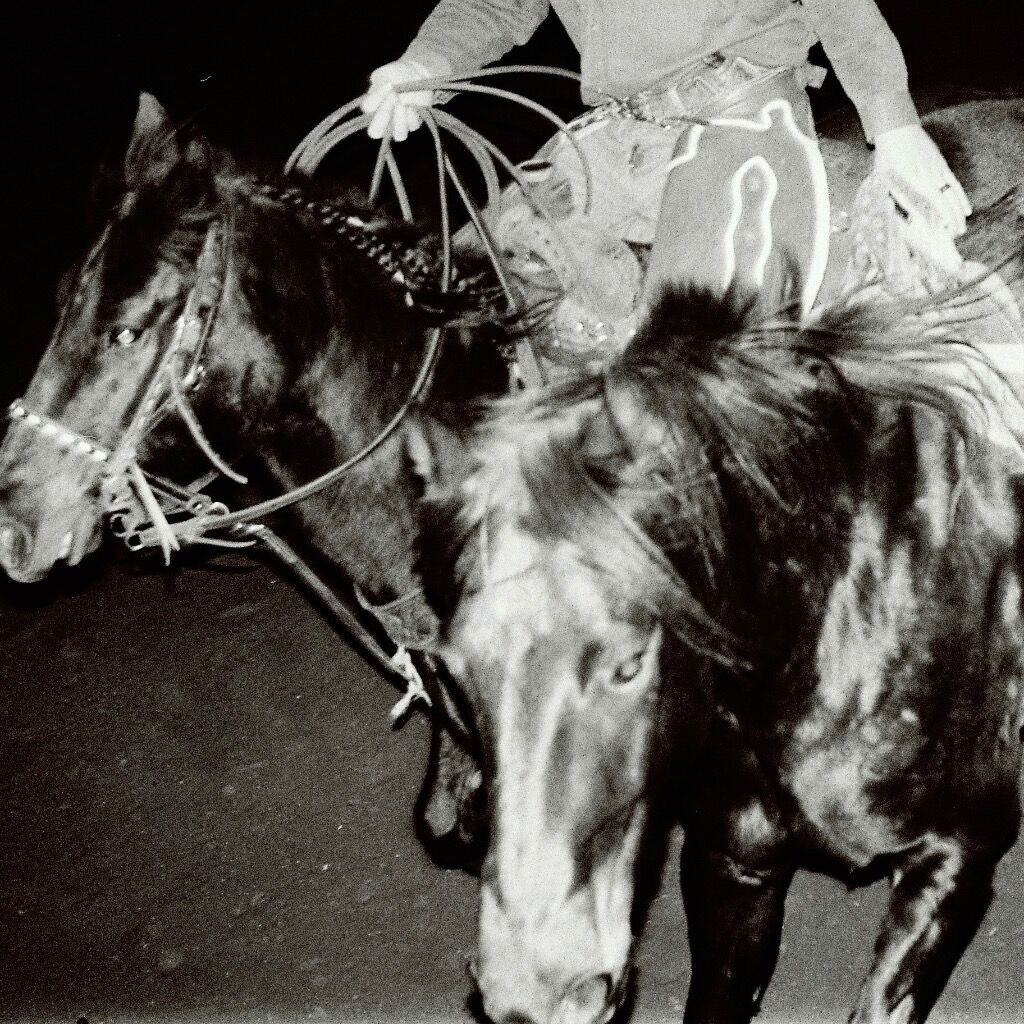 Order Heaven's Night LP/CD & Stream the Whole Album! 