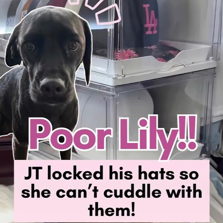 Poor Lily!!!