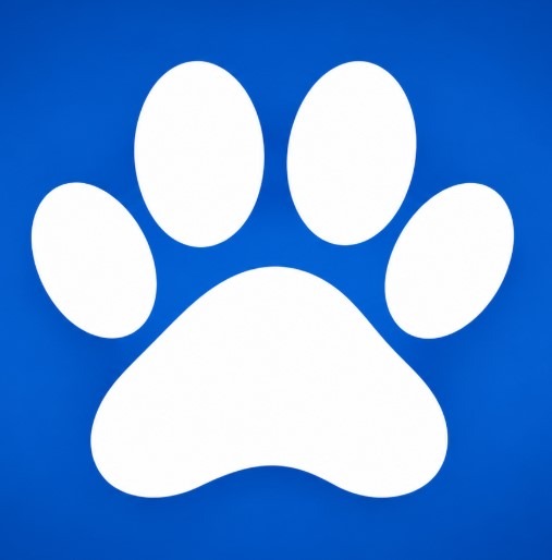 Pet-Friendly Accommodation