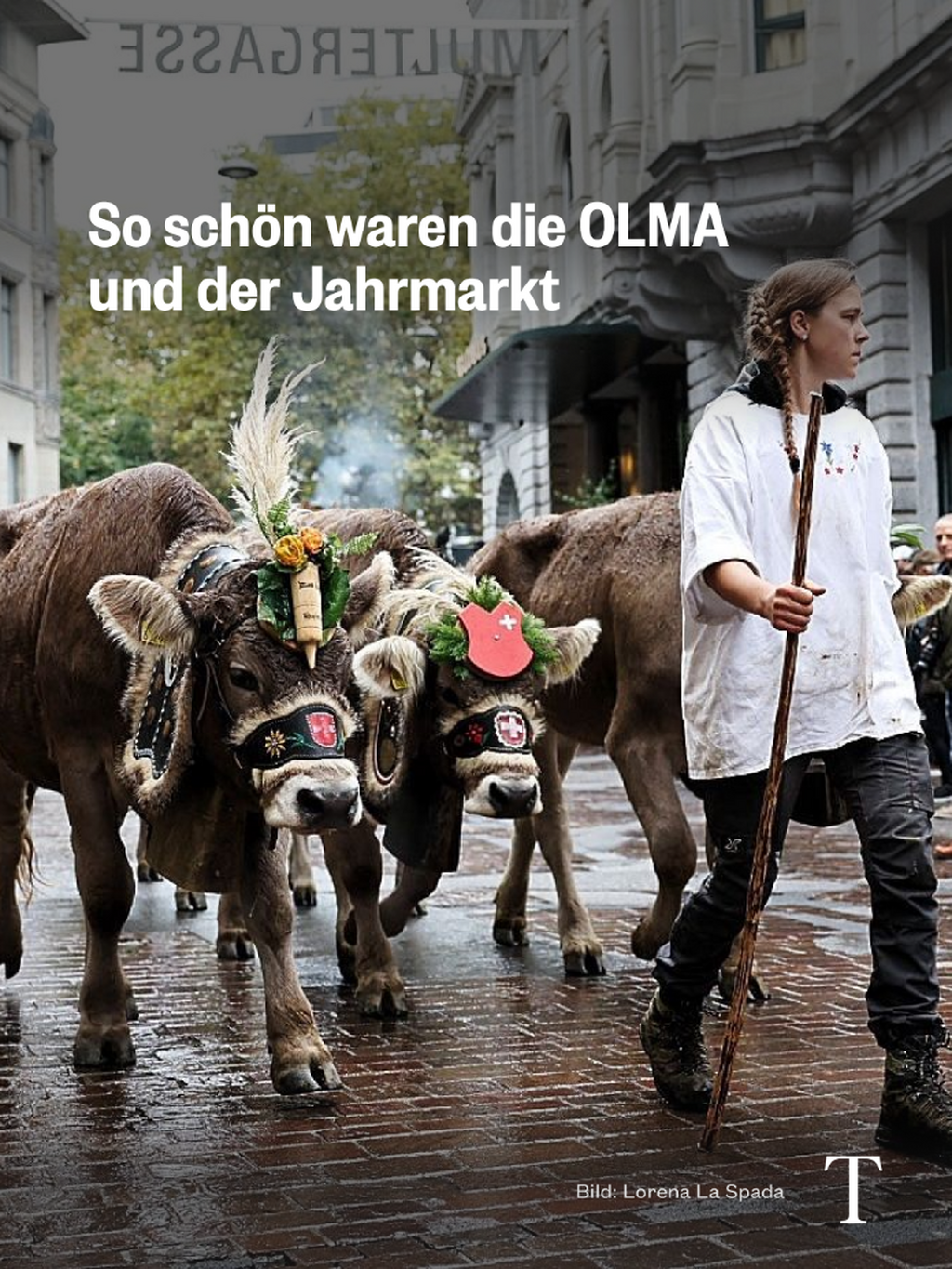 So sch&ouml;n waren die OLMA und der Jahrmarkt