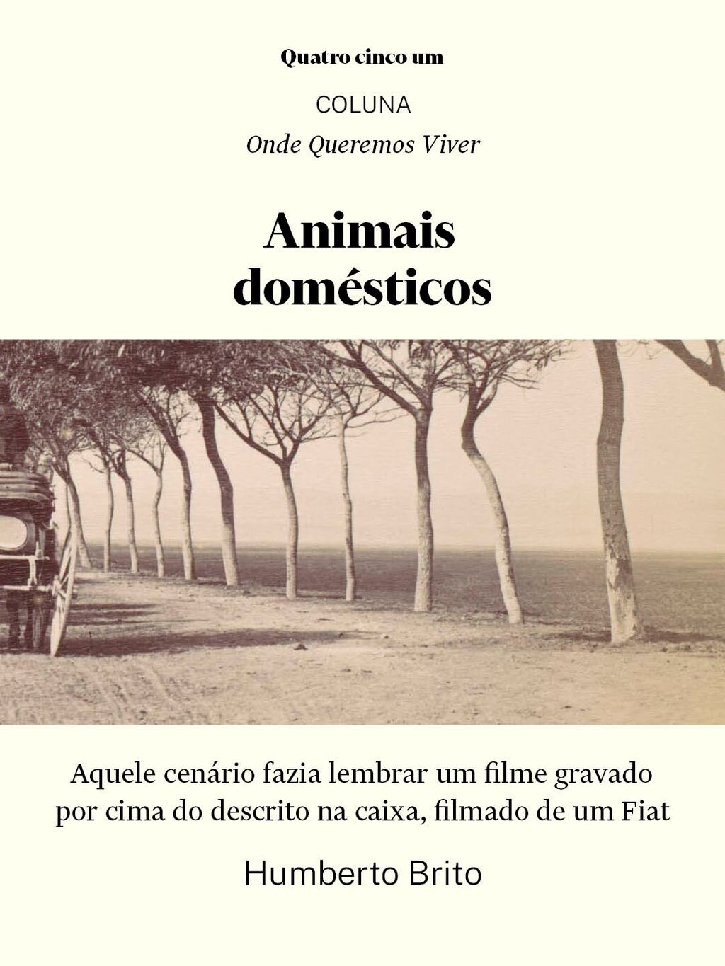 Animais dom&eacute;sticos |  Humberto Brito