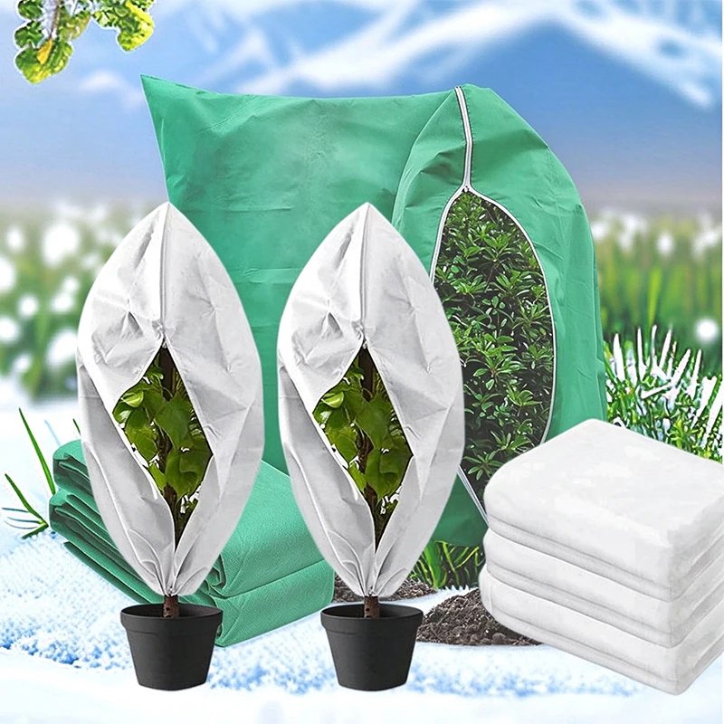 Winter Plant Protector ❄️🌱