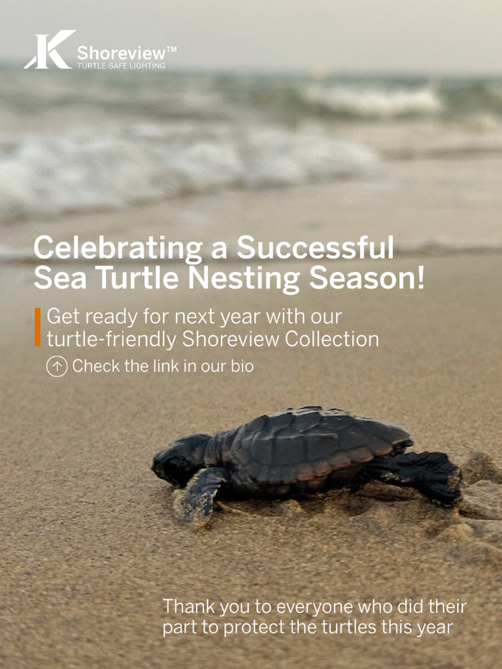 End of Turtle Season 2026