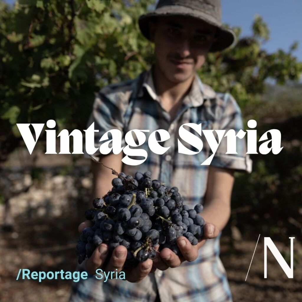 Syria&rsquo;s Winemakers Press on Under New Alcohol Rules