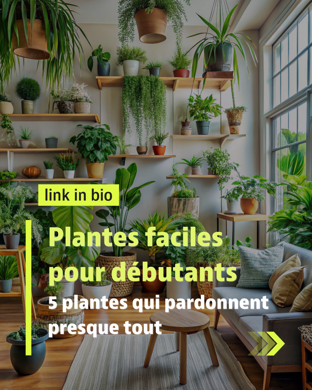 Les bienfaits des plantes d'int&eacute;rieur
