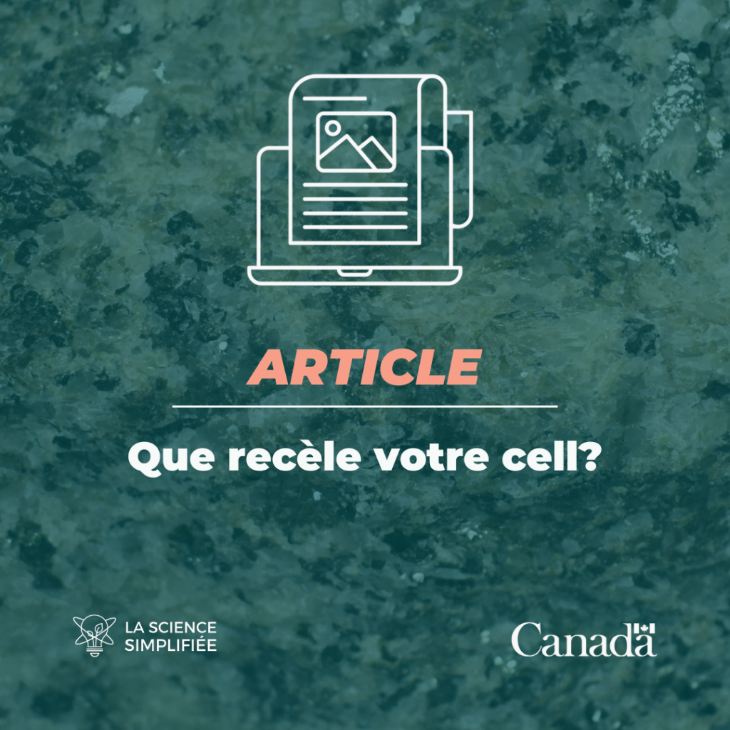 Que rec&egrave;le votre cell? 