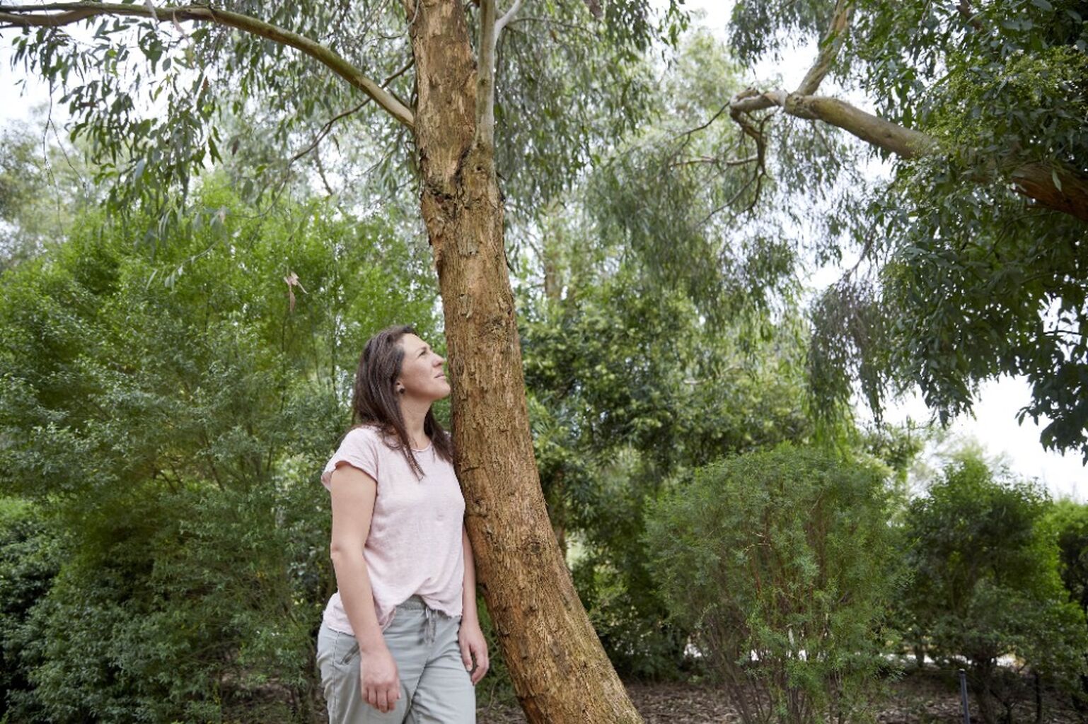 🧘 Experience: Forest Therapy