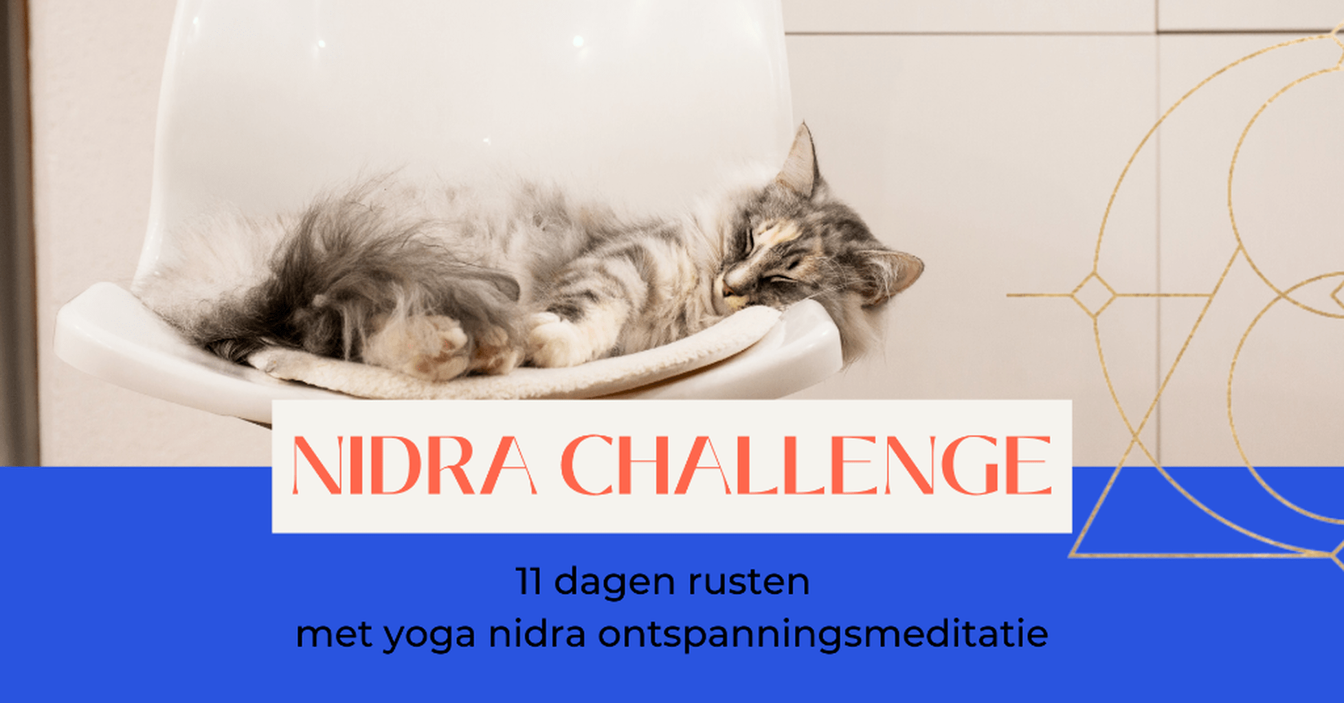 GRATIS- Yoga Nidra 11 dagen challenge 
